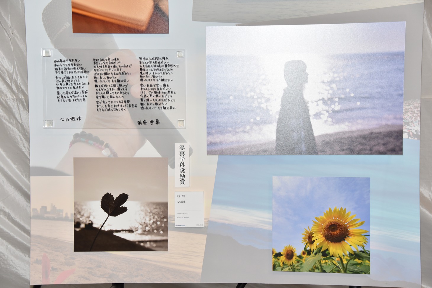 人気画像22位は「ももクロ有安、日大芸術学部写真学科を4年で卒業『やっと言えました』」より、有安杏果の作品「心の旋律」の一部。