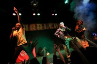 あっこゴリラ（中央）（Photo by Shigeo Kosaka）