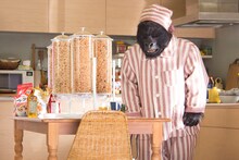 「フルグラ」のCMで相葉雅紀と共演するごりえもん。