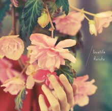 lovefilmのニューシングル「Haruka」ジャケット。