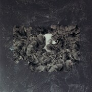 Does It Escape Again「afraid」ジャケット