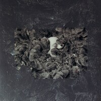 Does It Escape Again「afraid」ジャケット