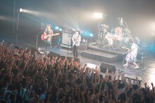Base Ball Bear「バンドBのすべて 2016-2017」東京・Zepp Tokyo公演の様子。（撮影：緒車寿一）
