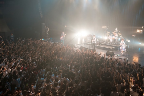 Base Ball Bear「バンドBのすべて 2016-2017」東京・Zepp Tokyo公演の様子。(撮影:緒車寿一)