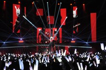 luz（撮影：岡本麻衣）