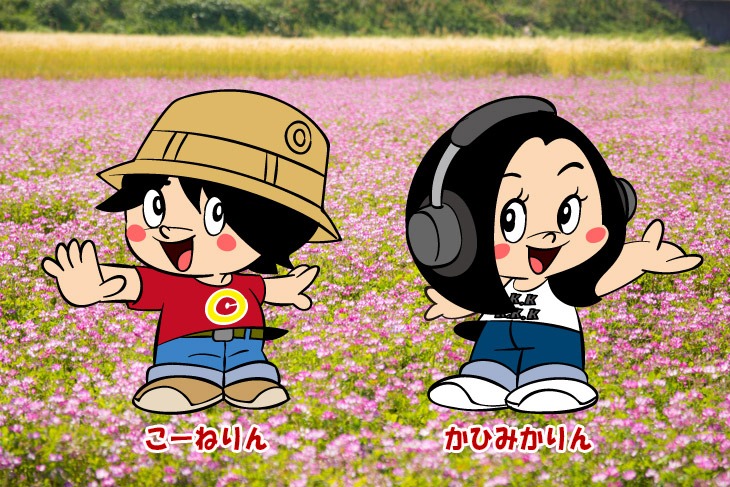 「NEWミュージックマシーン」を運営するこーねりん（左）、かひみかりん（右）。