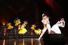 はちみつロケットとリーフシトロン。