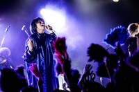 女王蜂（Photo by HAJIME KAMIIISAKA）