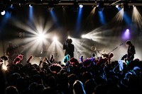 女王蜂（Photo by HAJIME KAMIIISAKA）