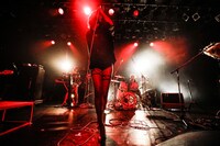 女王蜂（Photo by HAJIME KAMIIISAKA）