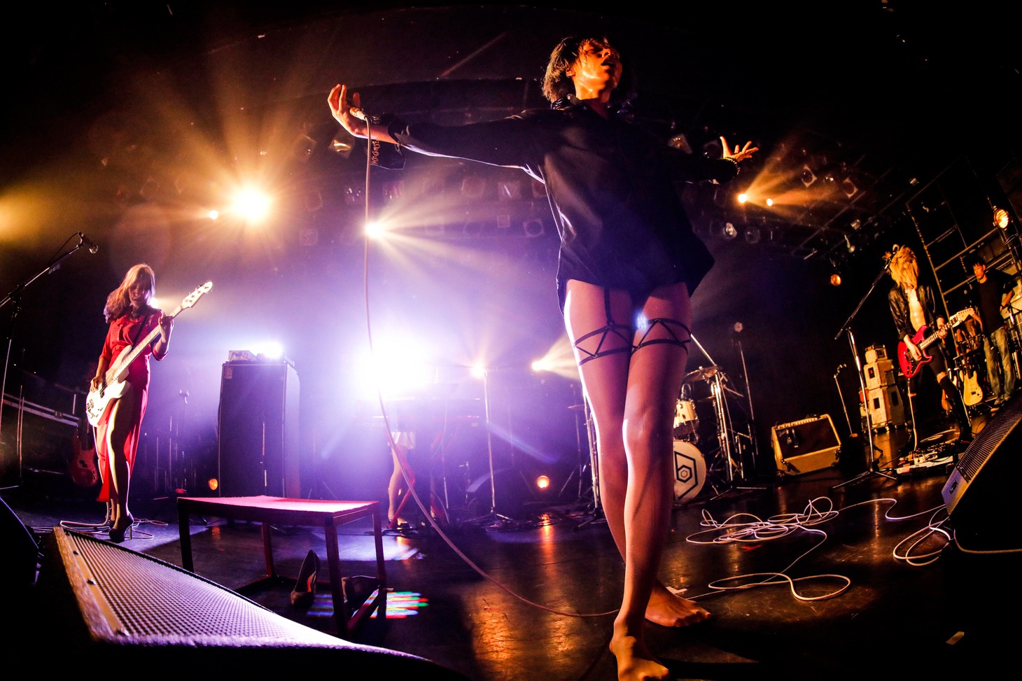 女王蜂（Photo by HAJIME KAMIIISAKA）
