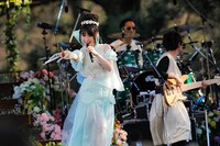 「水樹奈々 出雲大社御奉納公演～月花之宴～」のワンシーン。（撮影：上飯坂一）