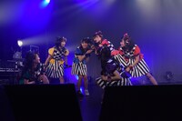 ばってん少女隊「ばってん少女隊の、田舎娘が四大都市のライブハウスを巡るツアー」LIQUIDROOM公演の様子。