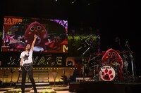 倉木麻衣「Mai Kuraki Live Project 2017 “SAWAGE☆LIVE”」最終公演より、倉木まいとにゃんごすたー。