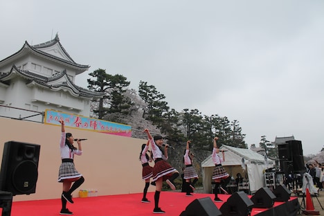 チームしゃちほこ「名古屋城路上デビューDEJAVU」の様子。（写真提供：スターダストネット）