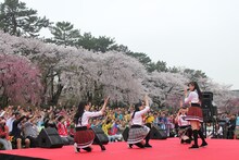 チームしゃちほこ「名古屋城路上デビューDEJAVU」の様子。（写真提供：スターダストネット）