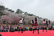 チームしゃちほこ「名古屋城路上デビューDEJAVU」の様子。（写真提供：スターダストネット）