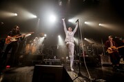 ドレスコーズ「the dresscodes 2017 "meme" TOUR」東京・新木場STUDIO COAST公演の様子。(撮影:森好弘)