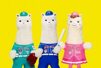 左からセカくん、パカくん、セパコちゃん。