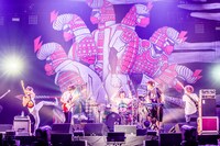 キュウソネコカミ（撮影：青木カズロー）