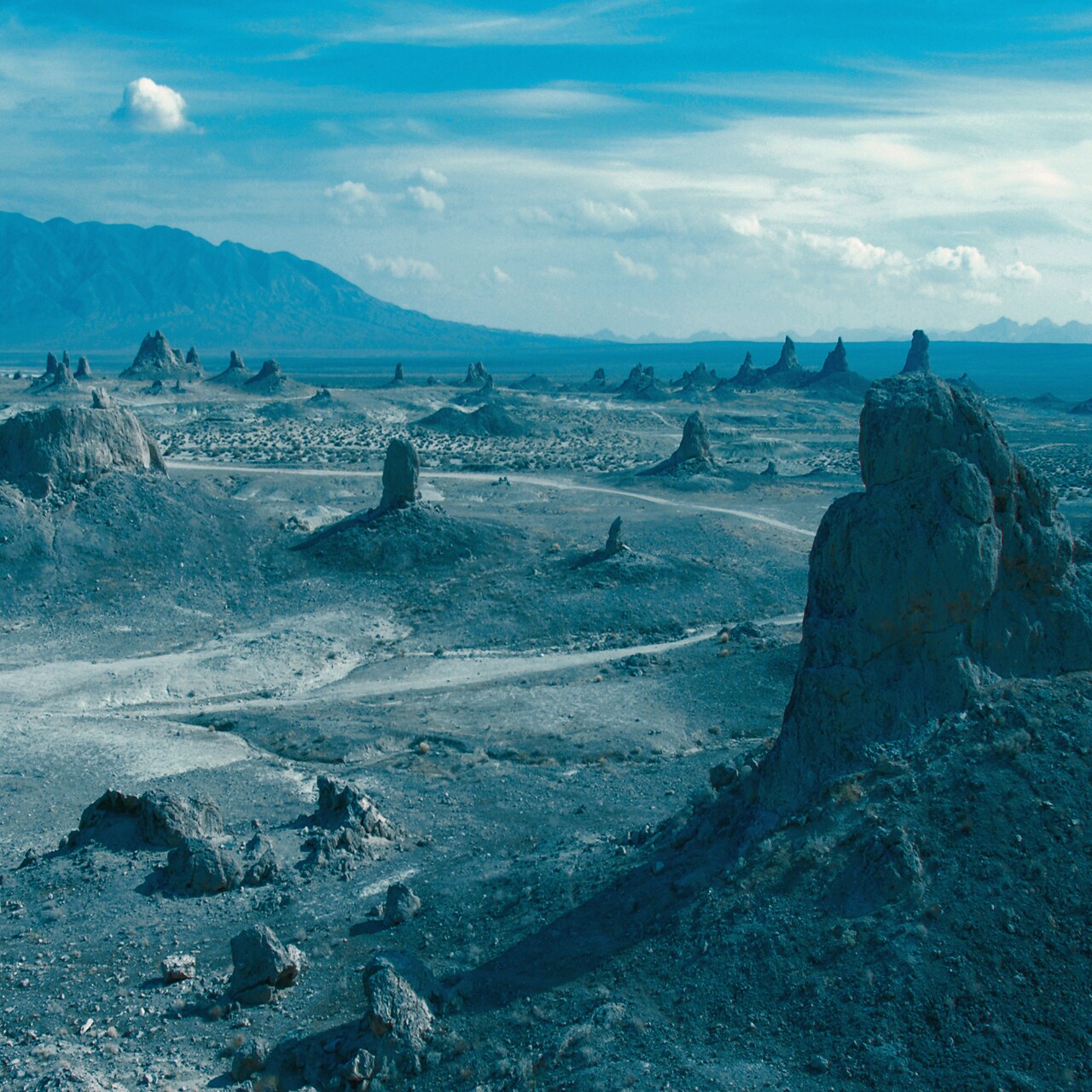 DATSのアルバム「Application」完成、自主企画に雨パレと向井太一