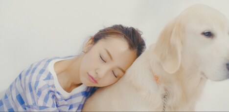 板野友美「#いいね！」MVのワンシーン。