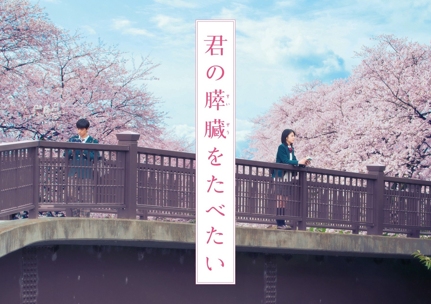 映画「君の膵臓をたべたい」ビジュアル (c)2017「君の膵臓をたべたい」製作委員会　(c)住野よる / 双葉社