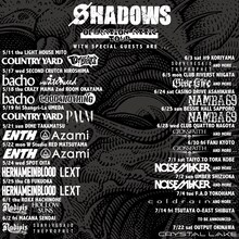 SHADOWS「OPERATION ATTIC TOUR」フライヤー