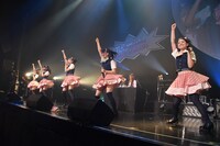 わーすた「The World Standard ～夢があるからついてきてね～」東京・Zepp DiverCity公演の様子。