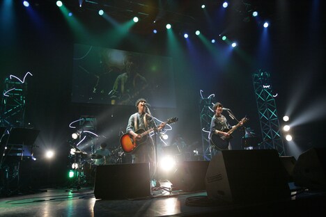 さくらしめじ（撮影：埼玉泰史 / ハヤシサトル）