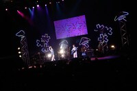 さくらしめじ（撮影：埼玉泰史 / ハヤシサトル）