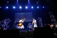 さくらしめじ（撮影：埼玉泰史 / ハヤシサトル）