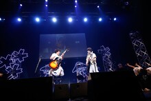 さくらしめじ（撮影：埼玉泰史 / ハヤシサトル）