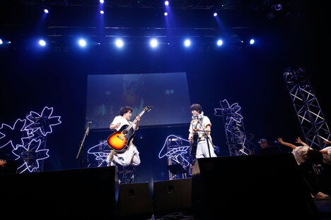 さくらしめじ（撮影：埼玉泰史 / ハヤシサトル）