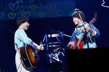 さくらしめじ（撮影：埼玉泰史 / ハヤシサトル）