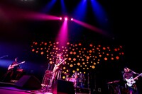 きのこ帝国 ワンマンツアー2017「花の名前を知るとき」中野サンプラザホール4月20日公演の様子。（Photo by Viola Kam [V'z Twinkle]）