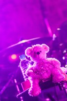 ナナちゃん（Photo by Masayo）