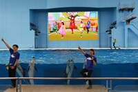 「ももくろちゃんZ ぐーちょきSEAぱーてぃー ～うみのどうぶつたちもやっぱノリノリー！～」の様子。