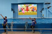 「ももくろちゃんZ ぐーちょきSEAぱーてぃー ~うみのどうぶつたちもやっぱノリノリー!~」の様子。