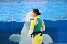 たんぽぽしおりん（玉井詩織）とシロイルカ。