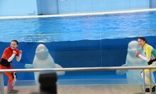 おひさまかなこちゃん（百田夏菜子）、たんぽぽしおりん（玉井詩織）、シロイルカ。