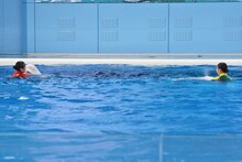 シロイルカと戯れるおひさまかなこちゃん（百田夏菜子）、たんぽぽしおりん（玉井詩織）。