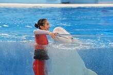 おひさまかなこちゃん（百田夏菜子）とシロイルカ。