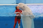 シロイルカにキスされるおひさまかなこちゃん(百田夏菜子)。