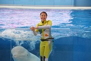 たんぽぽしおりん(玉井詩織)