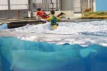 シロイルカに押し進められるおひさまかなこちゃん（百田夏菜子）、たんぽぽしおりん（玉井詩織）。