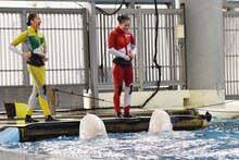 おひさまかなこちゃん（百田夏菜子）、たんぽぽしおりん（玉井詩織）とシロイルカ。