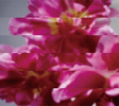 MONDO GROSSO新作ボーカルにUA、やくしまる、moumoonのYUKA、一般の主婦