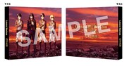 Linked Horizon「進撃の軌跡」HMV特典のスリーブケース。