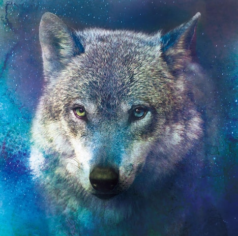 Yeti「ハウル」ジャケット